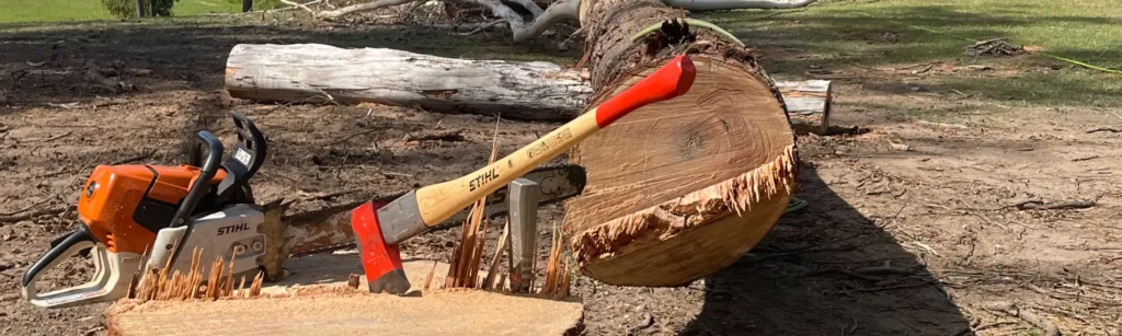 Tree removals Mooloolaba Sunshine Coast