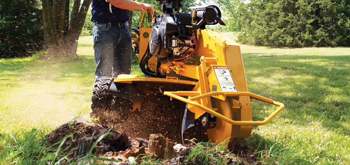 Tree stump grinding Mooloolaba Sunshine Coast