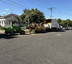 Tree lopping Yandina QLD