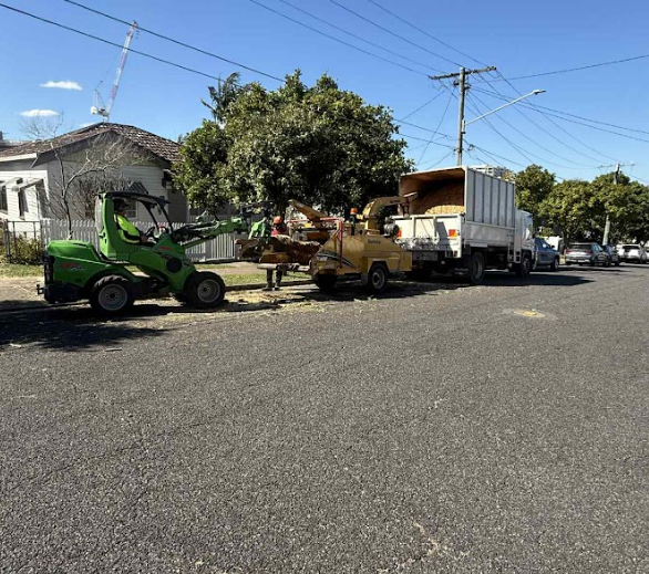 Tree lopping Yandina QLD